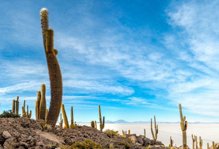 Geheimnisvolle Anden